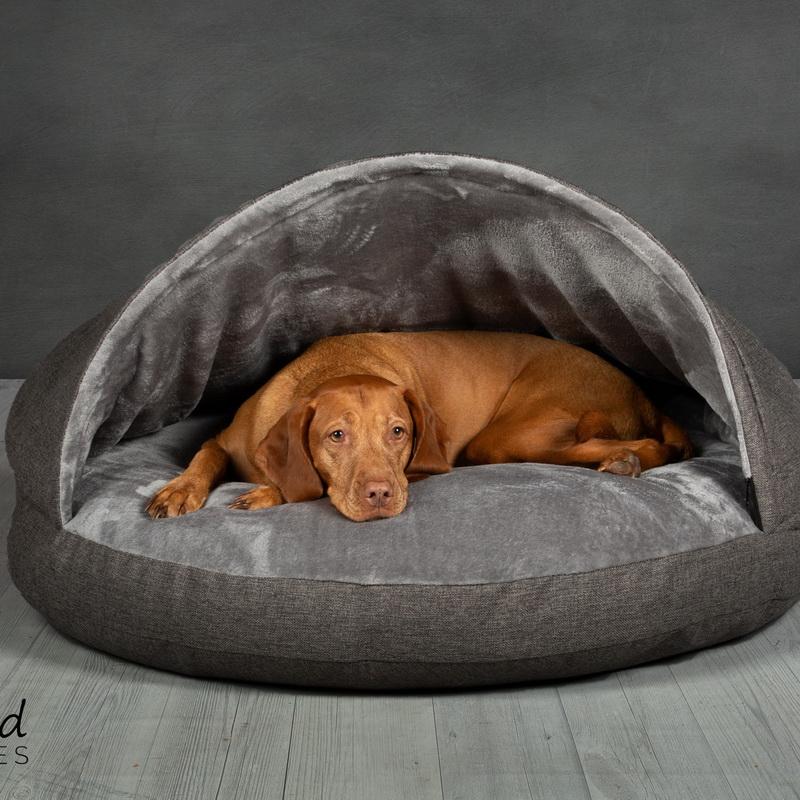 864A5831 Edit Collared Creatures