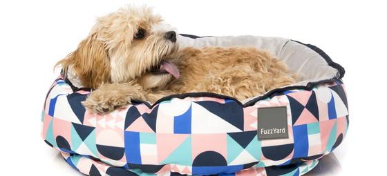 FZ8187 9 ReversibleBed Yuwono Dog 14