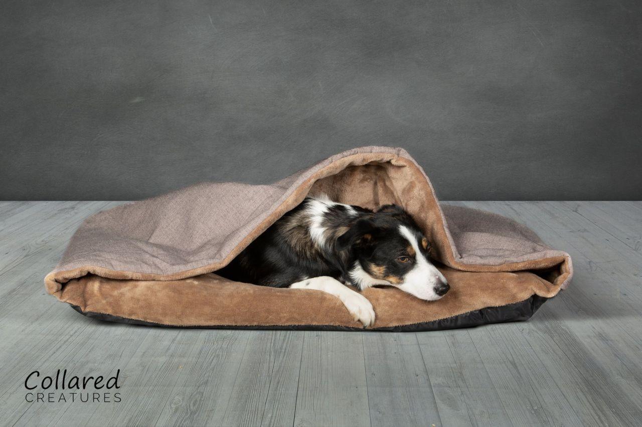 mocha_snuggle_2_1800x1800