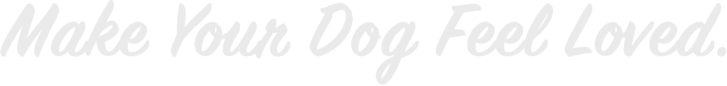 Make your dog feel loved