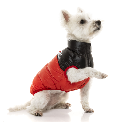 FZAW3051-7_HarlemPufferJacket_Red_Dog08