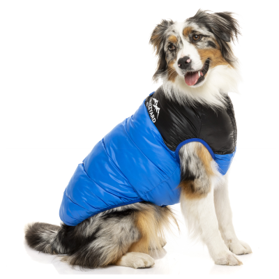 FZAW3061-7_HarlemPufferJacket_Blue_Dog06